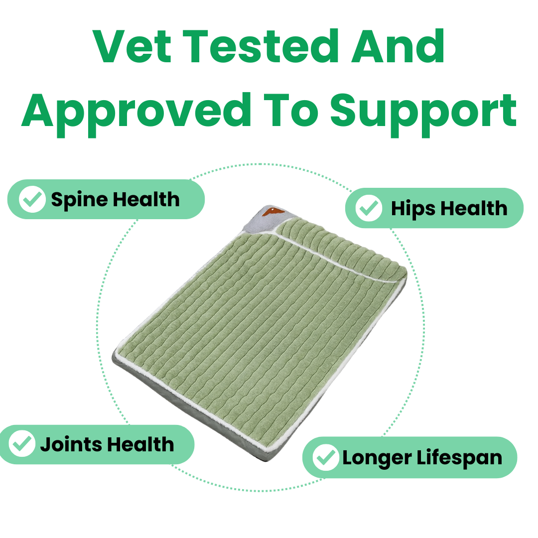 Proustic Medical Dog Bed
