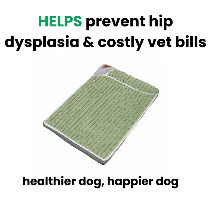 Proustic Medical Dog Bed
