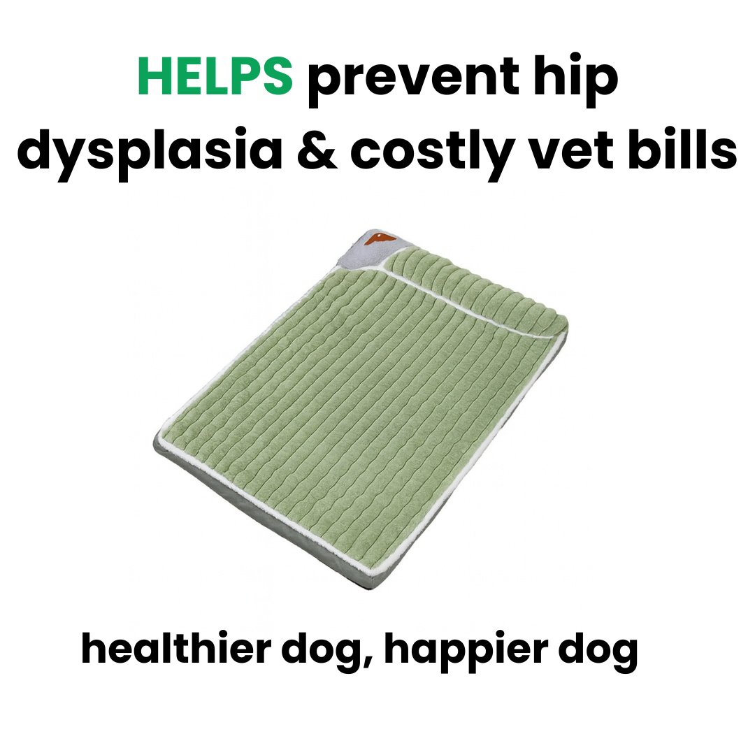 Proustic Medical Dog Bed