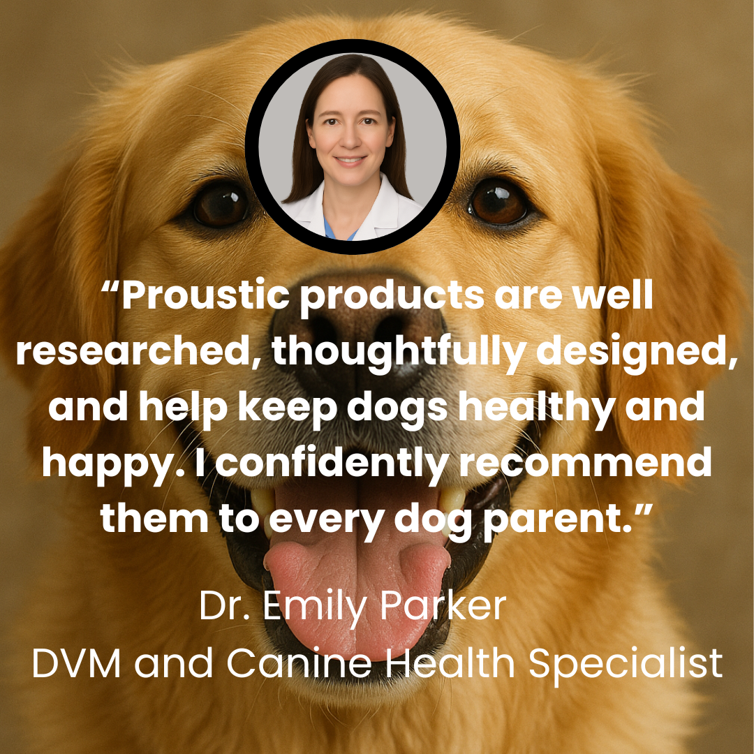 Proustic Medical Dog Bed