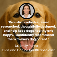 Proustic Medical Dog Bed